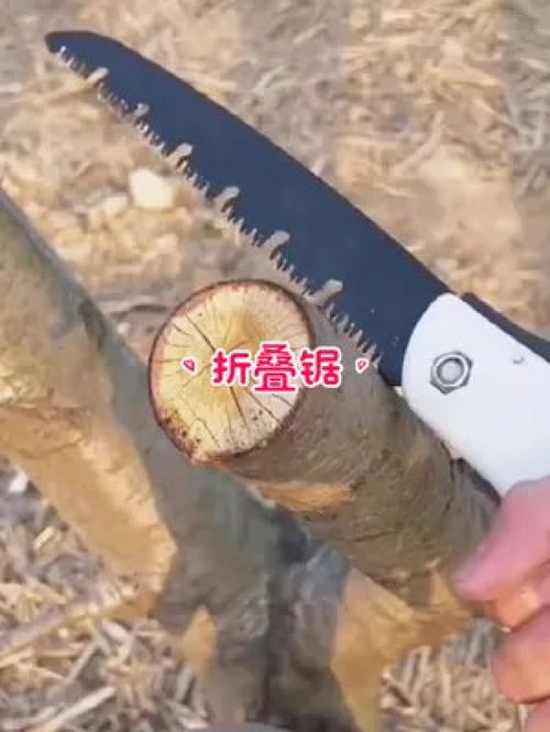德國品質(zhì)，匠心之選 探索德國進口折疊手工鋸在園林工具中的卓越應(yīng)用
